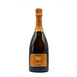 Prosecco Di Valdobbiadene Superiore Valdo Cuvee Di Boj Brut