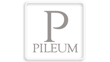 Pileum