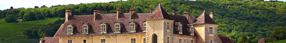 Viaggio in Francia: i grandi vini di Borgogna & Co.