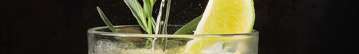 Gin Tonic: i migliori gin e le migliori toniche in offerta