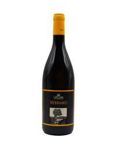Trebbiano Capezzana 2023