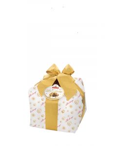 Albertengo Panettone Classico Alto kg 10