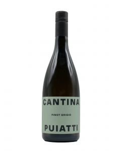 Pinot Grigio Puiatti 'Sal' 2022