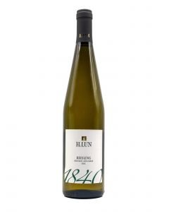 Riesling H.lun 2022