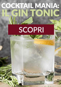 Gin Tonic