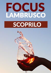 Lambrusco in offerta