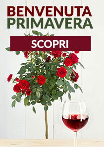 Benvenuta primavera