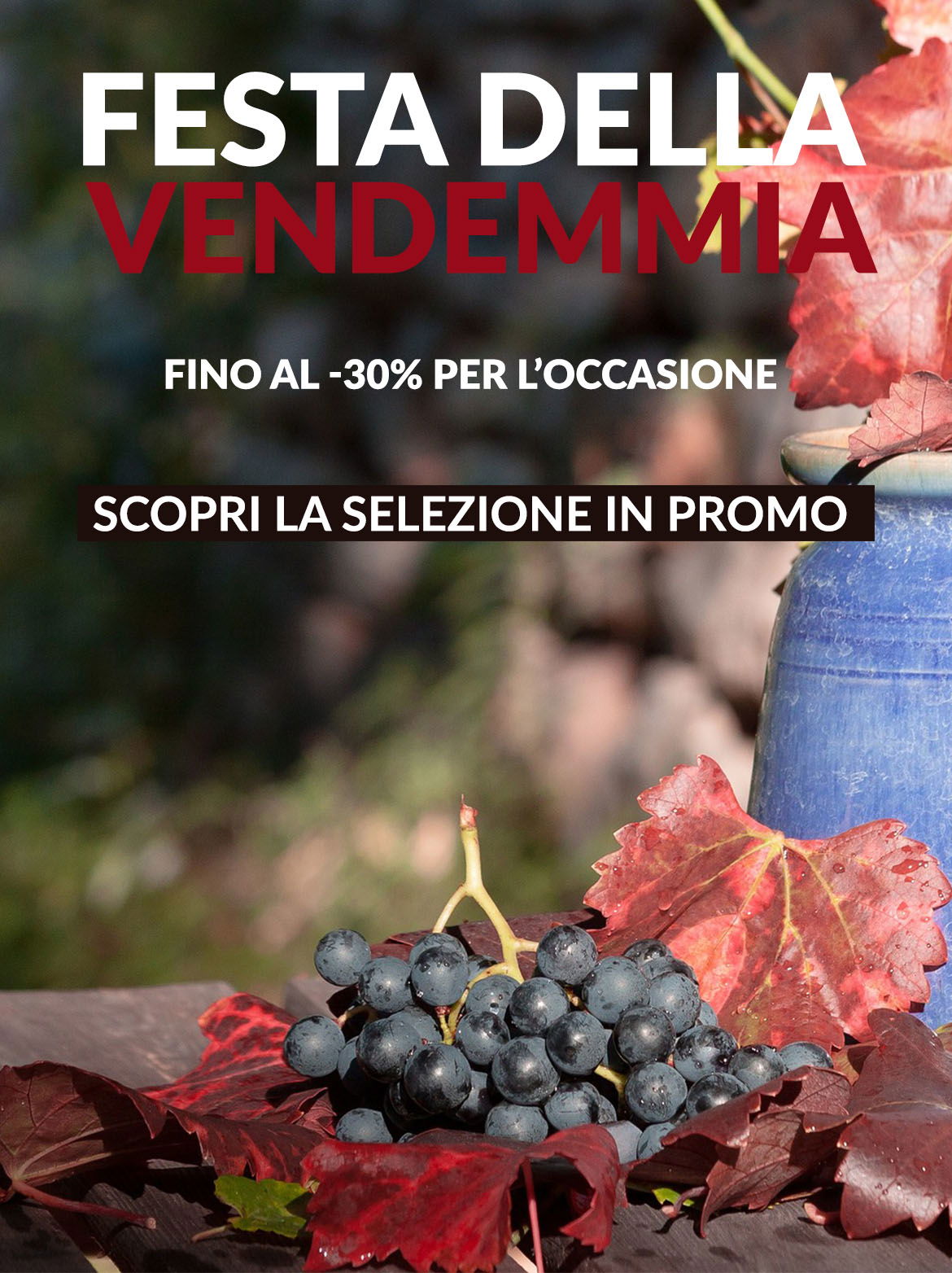 Festa della vendemmia